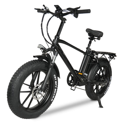 T20 20 Inch 750W Electric Bike, 4.0 Fat Tire Mountain Bike, 48V 17Ah Battery, Front & Rear Disc Brake