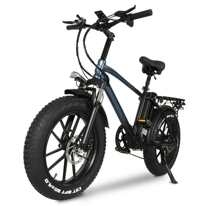 T20 20 Inch 750W Electric Bike, 4.0 Fat Tire Mountain Bike, 48V 17Ah Battery, Front & Rear Disc Brake