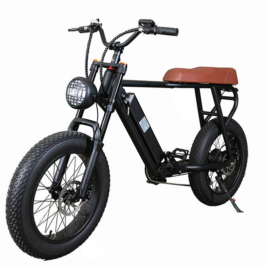 20FG Adult Mountain Bike 20 Inch 500W Electric Bike 48V 15Ah Lithium Battery (ang.)