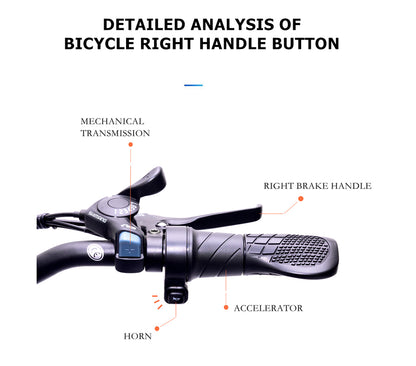 GW20-NEW Bicicletă electrică pliabilă de 20 inchi, roată integrată, 48 V 750 W Bicicletă cu anvelopă grasă, viteză 30-45 km/h